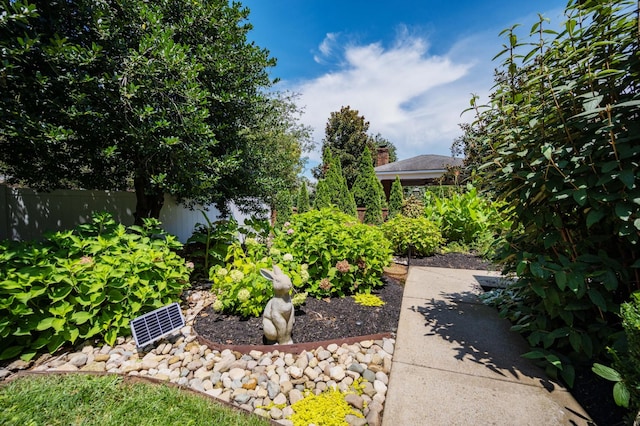 1515 Bradberry Dr, Murfreesboro, TN 37130 - view of yard