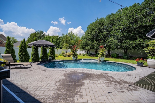 1515 Bradberry Dr, Murfreesboro, TN 37130 - view of pool with a fenced backyard and a patio