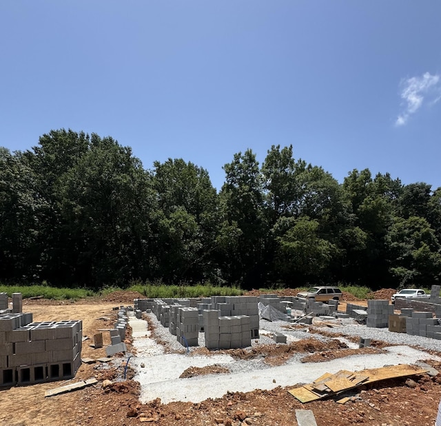 146 Irish Hls, Clarksville, TN 37042 - view of yard
