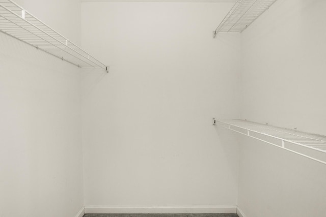 732 Charlie Gann Rd, Old Hickory, TN 37138 - walk in closet featuring carpet flooring