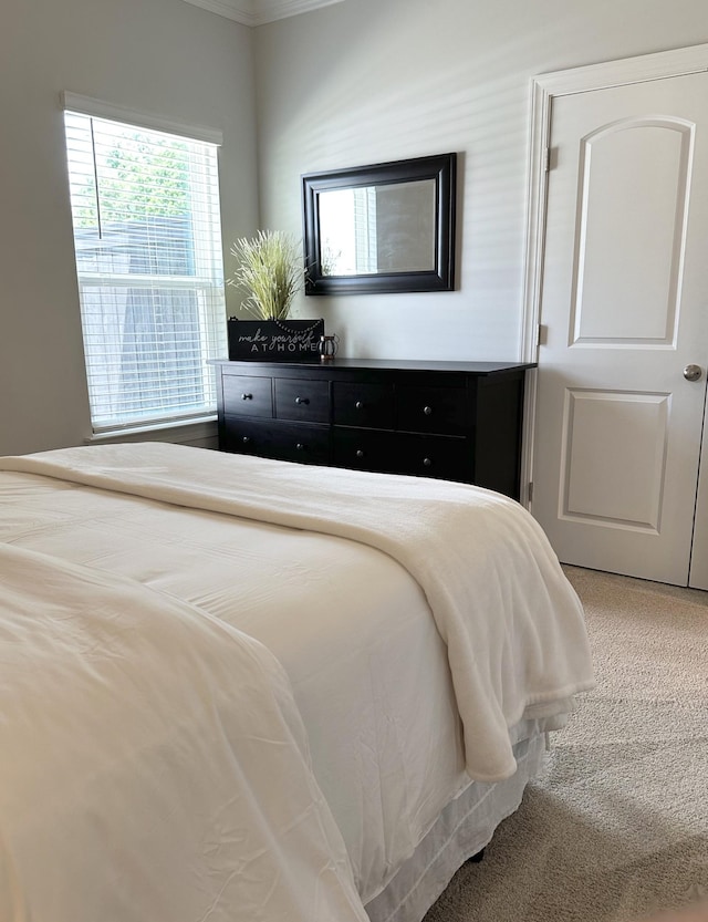 1208 Craigleigh Dr, Nolensville, TN 37135 - photo 29