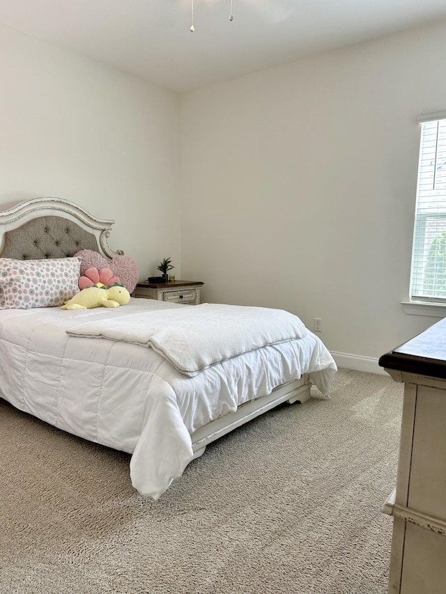 1208 Craigleigh Dr, Nolensville, TN 37135 - photo 26