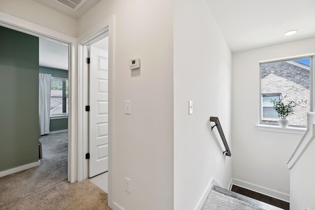 233 Griffin Ln, Gallatin, TN 37066 - photo 54
