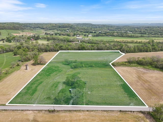 3238 Boyd Mill Pike, Franklin, TN 37064 - photo 2