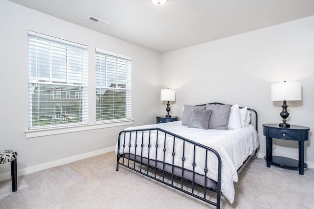 1013 Violet St, Spring Hill, TN 37174 - bedroom with carpet and multiple windows