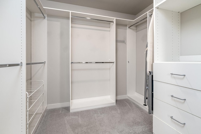 1013 Violet St, Spring Hill, TN 37174 - walk in closet with carpet floors