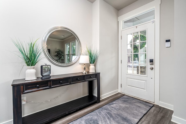 1013 Violet St, Spring Hill, TN 37174 - foyer featuring dark wood-type flooring and ornamental molding