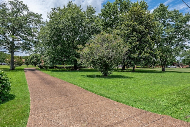 310 Lisa Ln, Gallatin, TN 37066 - photo 28