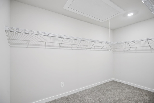 1057 Kiley Ct, Antioch, TN 37013 - photo 47