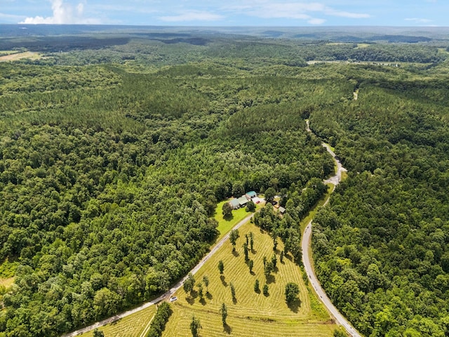 176 Robert Hensley Rd, Hohenwald, TN 38462 - photo 48