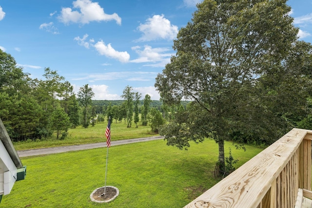 176 Robert Hensley Rd, Hohenwald, TN 38462 - photo 26