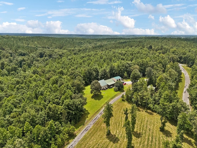 176 Robert Hensley Rd, Hohenwald, TN 38462 - photo 47