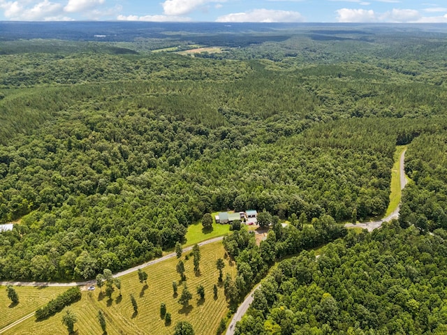 176 Robert Hensley Rd, Hohenwald, TN 38462 - photo 49