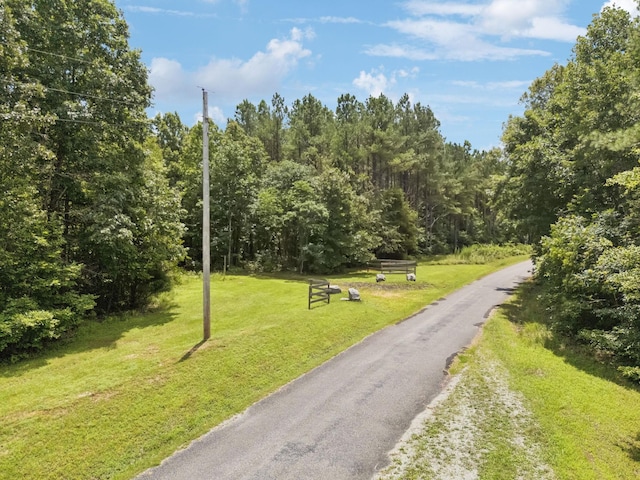 176 Robert Hensley Rd, Hohenwald, TN 38462 - photo 40