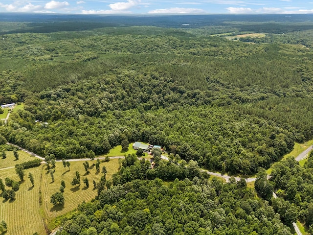 176 Robert Hensley Rd, Hohenwald, TN 38462 - photo 50