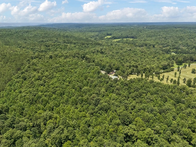 176 Robert Hensley Rd, Hohenwald, TN 38462 - photo 43