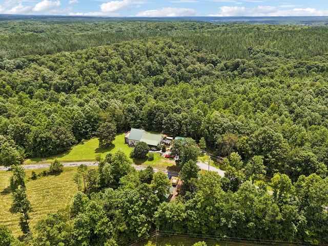 176 Robert Hensley Rd, Hohenwald, TN 38462 - photo 53
