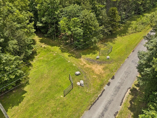 176 Robert Hensley Rd, Hohenwald, TN 38462 - photo 51