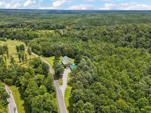 176 Robert Hensley Rd, Hohenwald, TN 38462 - photo 52