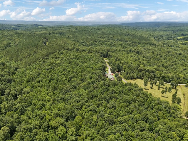 176 Robert Hensley Rd, Hohenwald, TN 38462 - photo 44