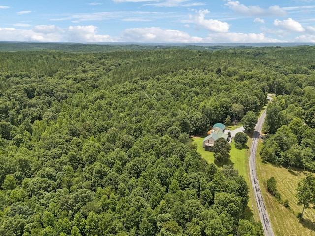 176 Robert Hensley Rd, Hohenwald, TN 38462 - photo 46
