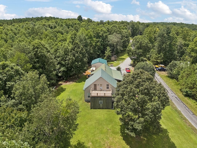 176 Robert Hensley Rd, Hohenwald, TN 38462 - photo 38