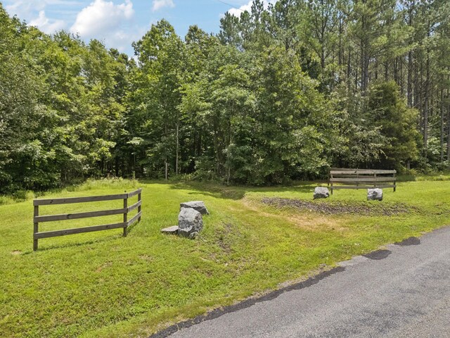 176 Robert Hensley Rd, Hohenwald, TN 38462 - photo 41