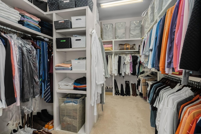 1450 Championship Blvd, Franklin, TN 37064 - spacious closet featuring carpet flooring