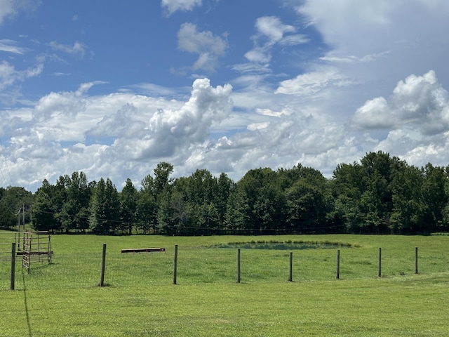 828 Wills Rd, Dickson, TN 37055 - photo 4