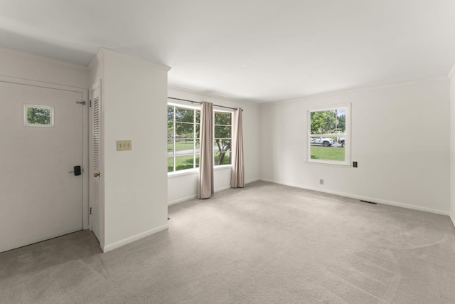 307 Mary Sharp Dr, Decherd, TN 37324 - empty room with plenty of natural light, carpet, and ornamental molding