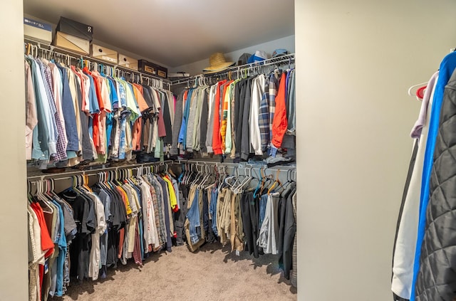 135 Millers Ln, Calhoun, GA 30701 - spacious closet featuring carpet floors