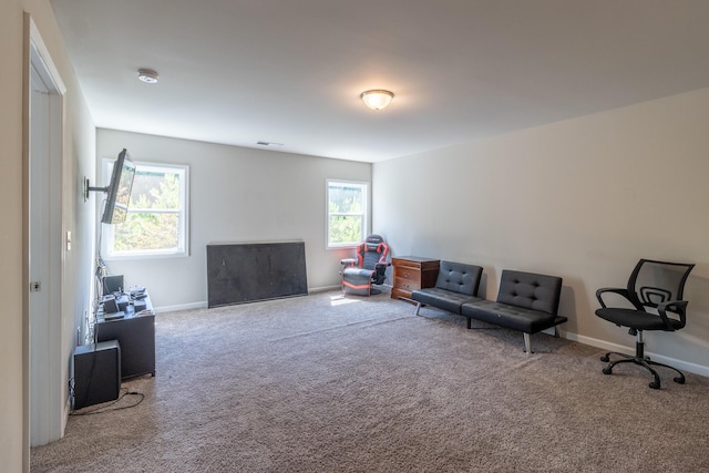 135 Millers Ln, Calhoun, GA 30701 - living room with carpet