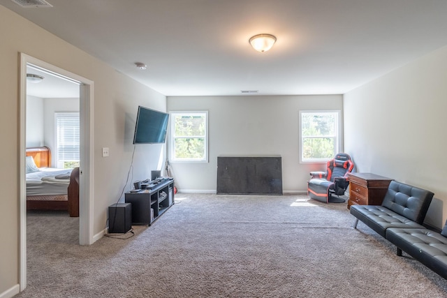 135 Millers Ln, Calhoun, GA 30701 - living area featuring carpet flooring and plenty of natural light