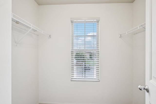 3927 Cannonsgate Ln, Murfreesboro, TN 37128 - view of walk in closet