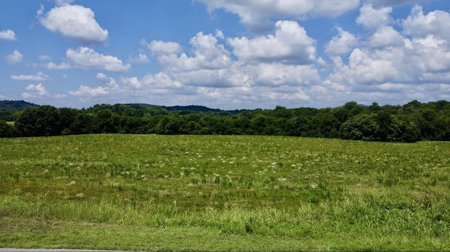 0 Crenshaw Rd, Hartsville, TN 37074 - photo 5