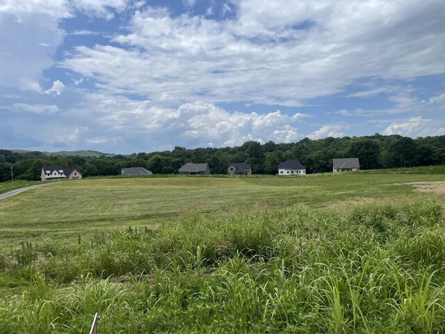 0 Crenshaw Rd, Hartsville, TN 37074 - photo 7