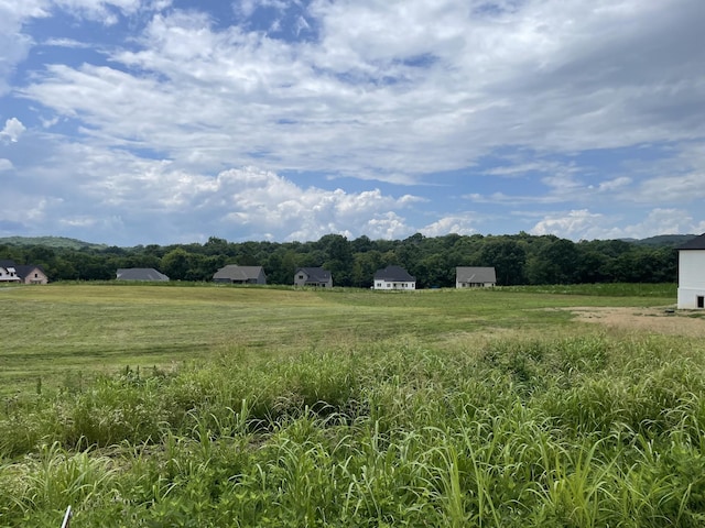 0 Crenshaw Rd, Hartsville, TN 37074 - photo 3