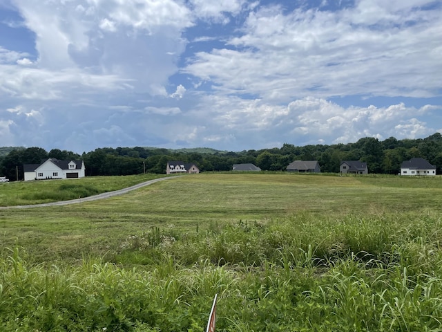 0 Crenshaw Rd, Hartsville, TN 37074 - photo 6