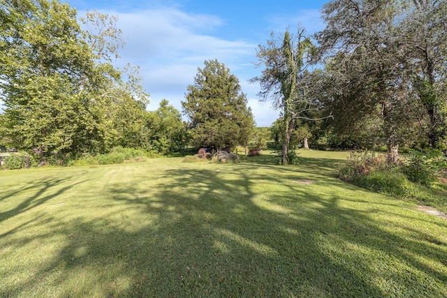 397A Sims Spring Rd, Shelbyville, TN 37160 - photo 3