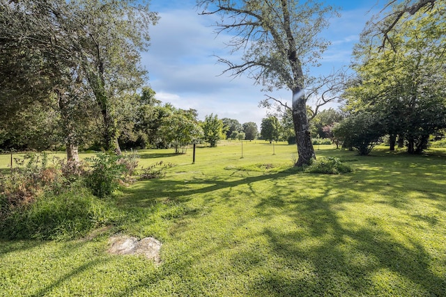397A Sims Spring Rd, Shelbyville, TN 37160 - photo 4