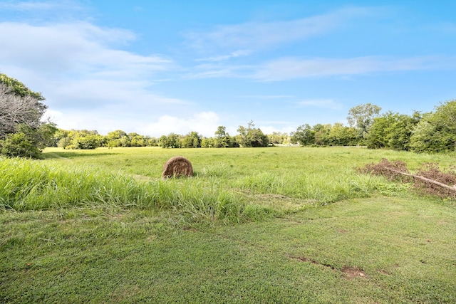 397A Sims Spring Rd, Shelbyville, TN 37160 - photo 6