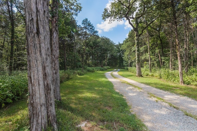 2356 Flat Woods Rd, Lebanon, TN 37090 - photo 2