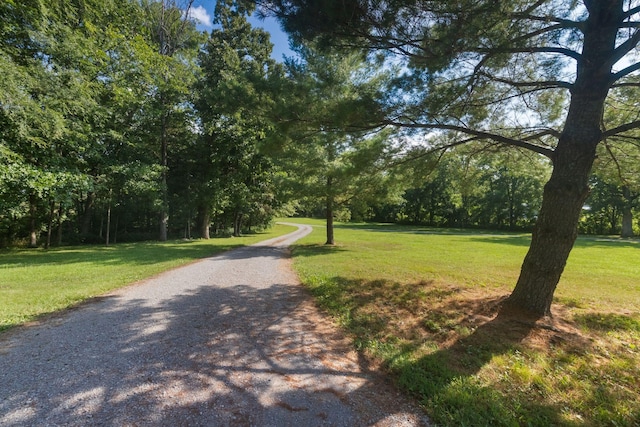 2356 Flat Woods Rd, Lebanon, TN 37090 - photo 42