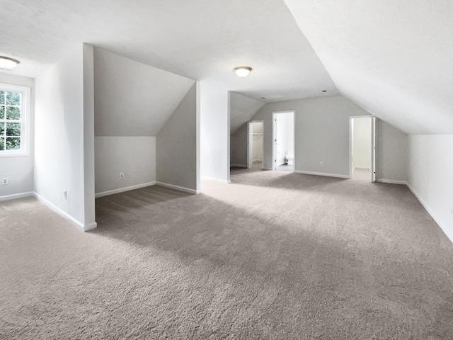 2919 Sams Ct, Spring Hill, TN 37174 - bonus room with lofted ceiling and carpet