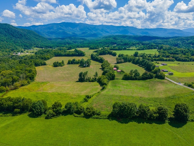 0 Holders Grove Rd, Cosby, TN 37722