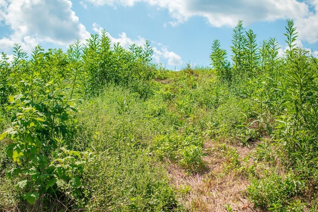 0 Holders Grove Rd, Cosby, TN 37722