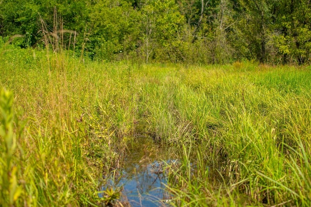 0 Holders Grove Rd, Cosby, TN 37722