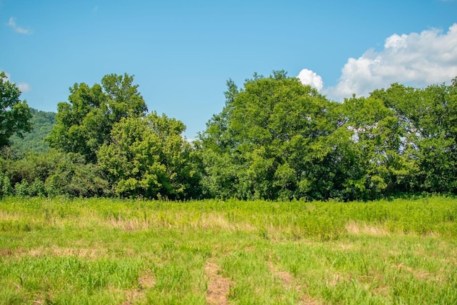 0 Holders Grove Rd, Cosby, TN 37722