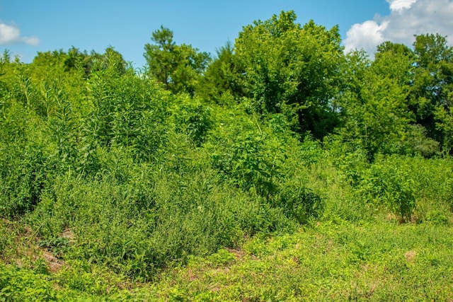 0 Holders Grove Rd, Cosby, TN 37722