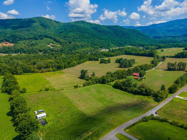 0 Holders Grove Rd, Cosby, TN 37722